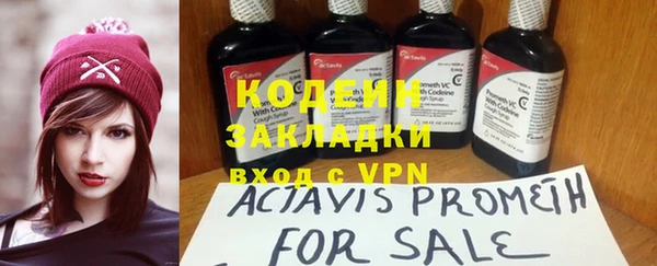 сатива Касимов