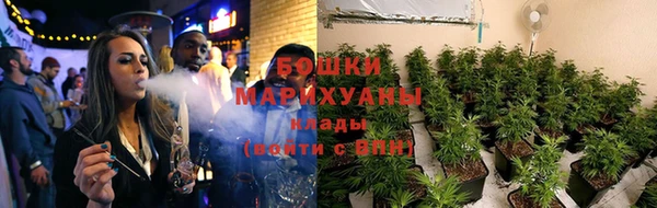 сатива Касимов